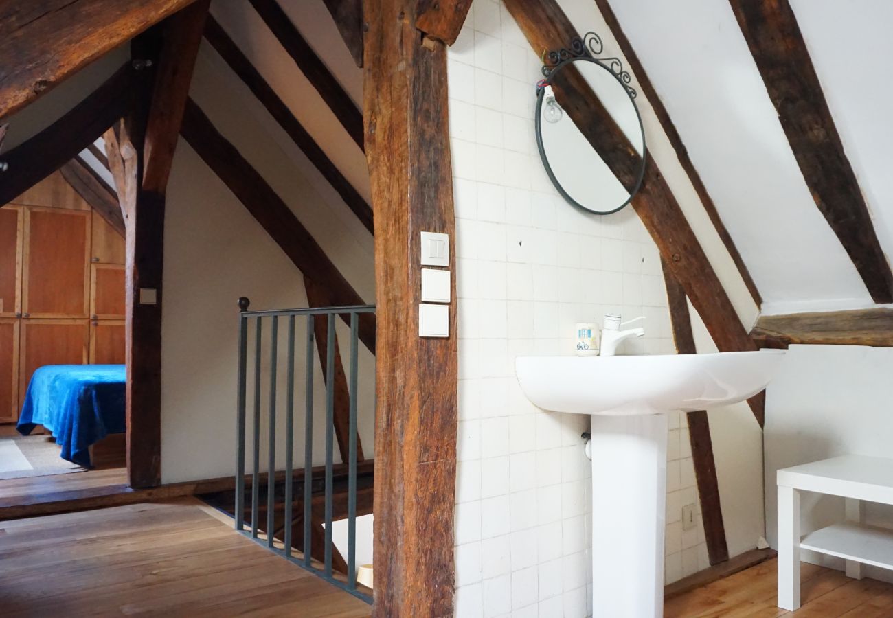 Apartment in Paris - Rue du Bourg Tibourg - Paris 4 - 204009