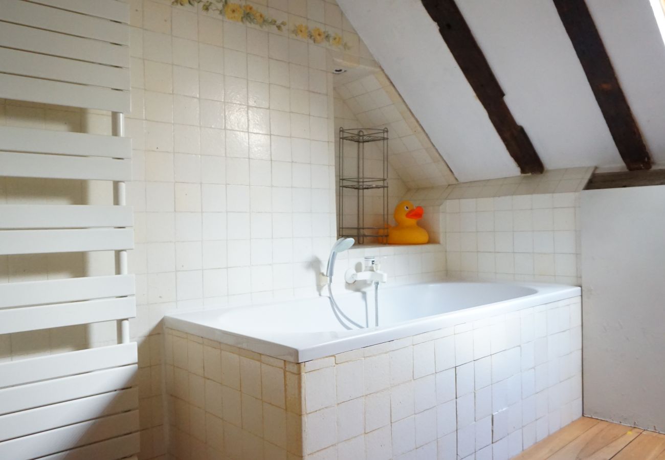 Apartment in Paris - Rue du Bourg Tibourg - Paris 4 - 204009