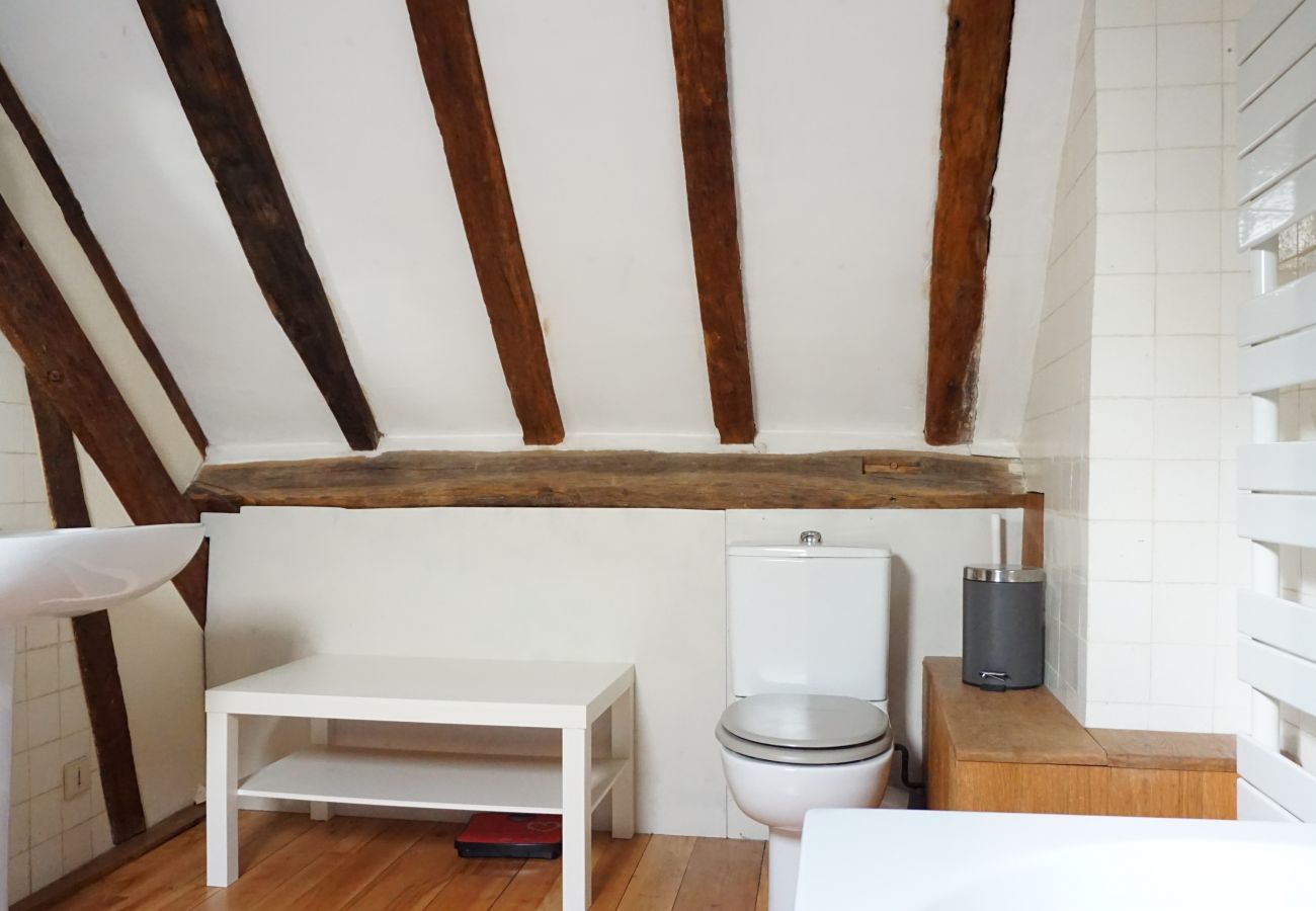 Apartment in Paris - Rue du Bourg Tibourg - Paris 4 - 204009