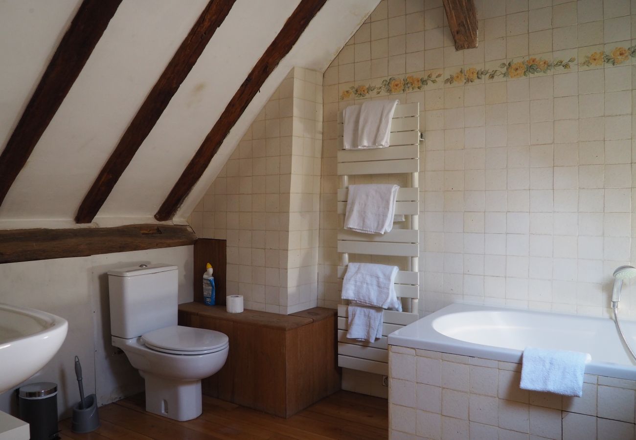 Apartment in Paris - Rue du Bourg Tibourg - Paris 4 - 204009