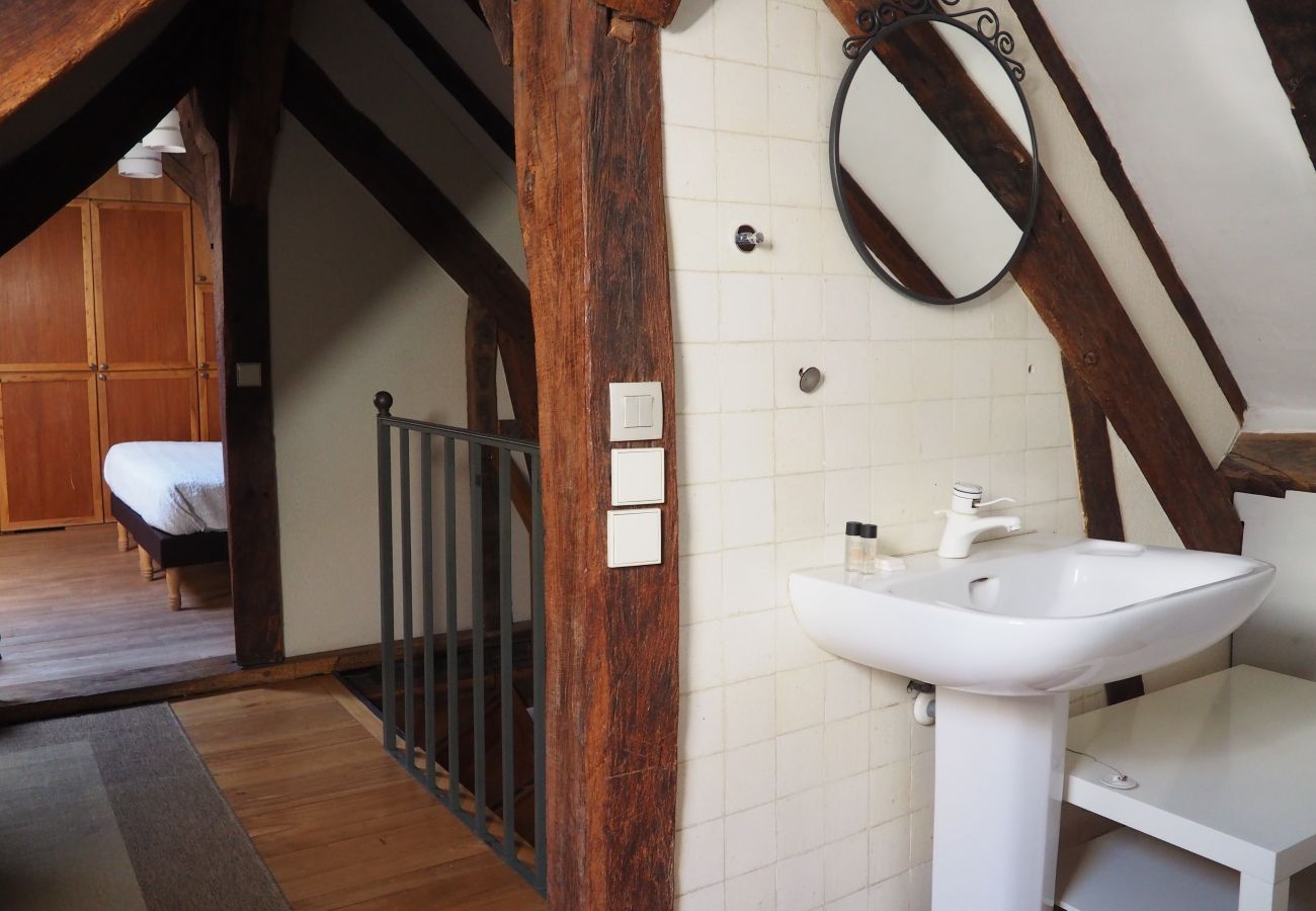 Apartment in Paris - Rue du Bourg Tibourg - Paris 4 - 204009