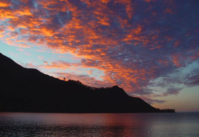 Villa in Papetoai - Beach Villa Cook - Robinson's Cove Villa in Papetoai - Beach Villa Cook - Robinson's Cove