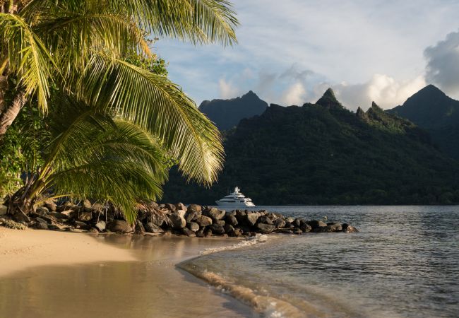 Villa in Papetoai - Beach Villa Cook - Robinson's Cove Villa in Papetoai - Beach Villa Cook - Robinson's Cove