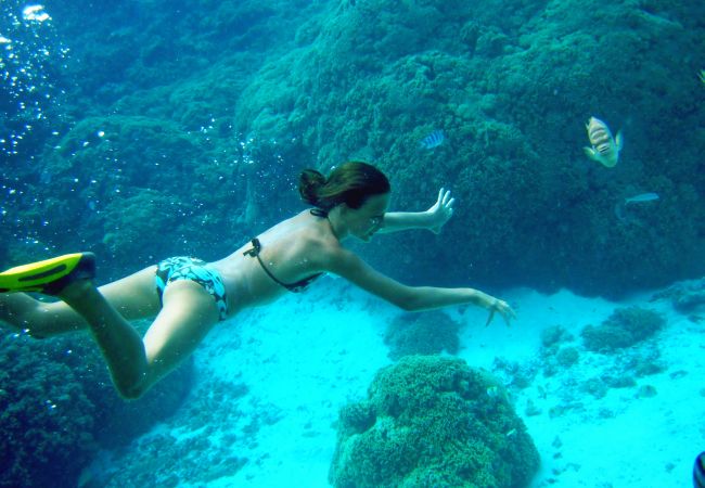 Villa in Papetoai - Beach Villa Cook - Robinson's Cove Villa in Papetoai - Beach Villa Cook - Robinson's Cove