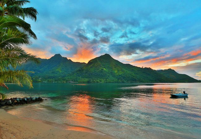 Villa in Papetoai - Beach Villa Cook - Robinson's Cove Villa in Papetoai - Beach Villa Cook - Robinson's Cove