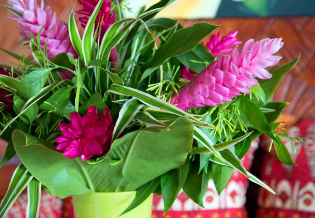 Villa in Papetoai - Beach Villa Cook - Robinson's Cove Villa in Papetoai - Beach Villa Cook - Robinson's Cove