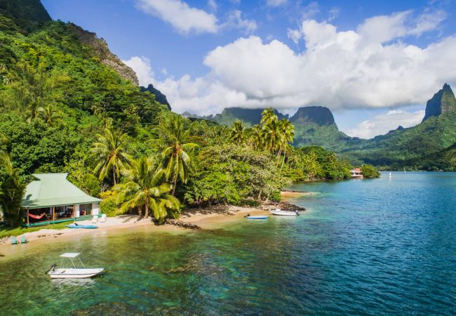 Villa in Papetoai - Beach Villa Cook - Robinson's Cove Villa in Papetoai - Beach Villa Cook - Robinson's Cove