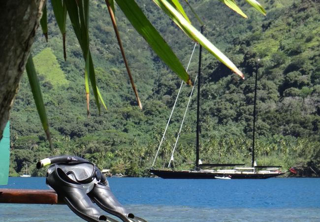 Villa in Papetoai - Beach Villa Wallis - Robinson's Cove Villa in Papetoai - Beach Villa Wallis - Robinson's Cove