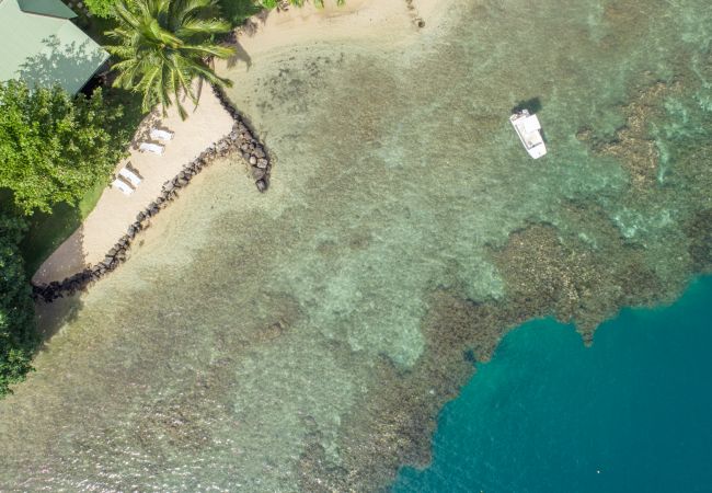 Villa in Papetoai - Beach Villa Wallis - Robinson's Cove Villa in Papetoai - Beach Villa Wallis - Robinson's Cove