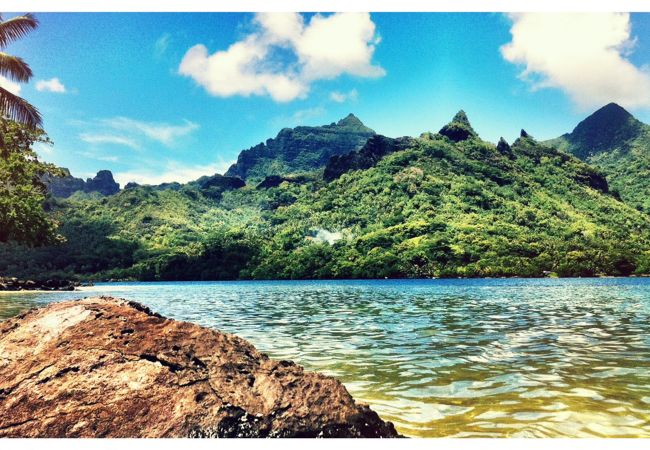 Villa in Papetoai - Beach Villa Wallis - Robinson's Cove Villa in Papetoai - Beach Villa Wallis - Robinson's Cove