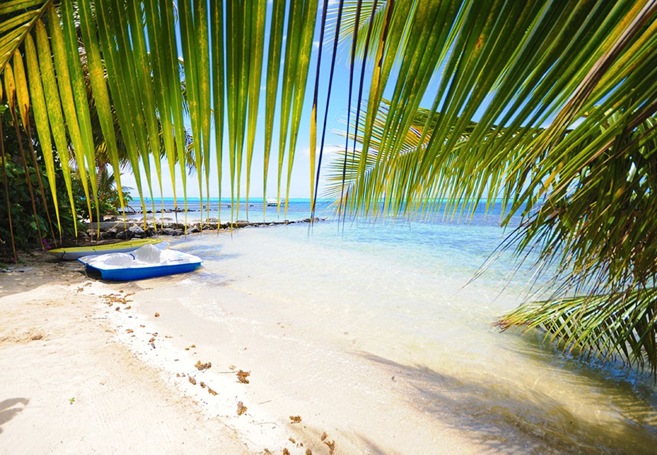 Villa in Maharepa - #2 Beach Villa Bliss by TAHITI VILLAS