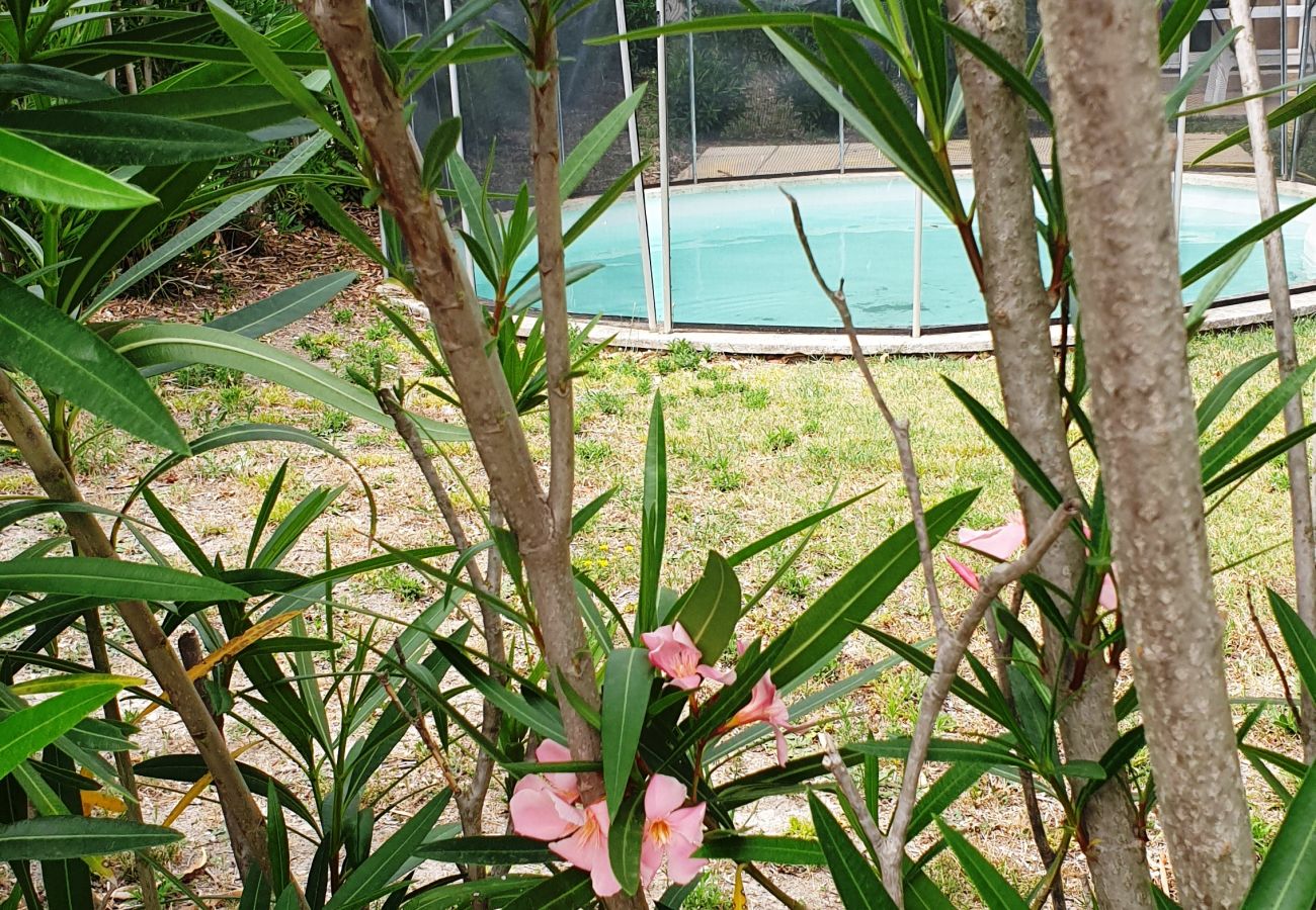 Villa in Saint-Saturnin-lès-Avignon - RDL4P8V05 - Villa 8 personnes