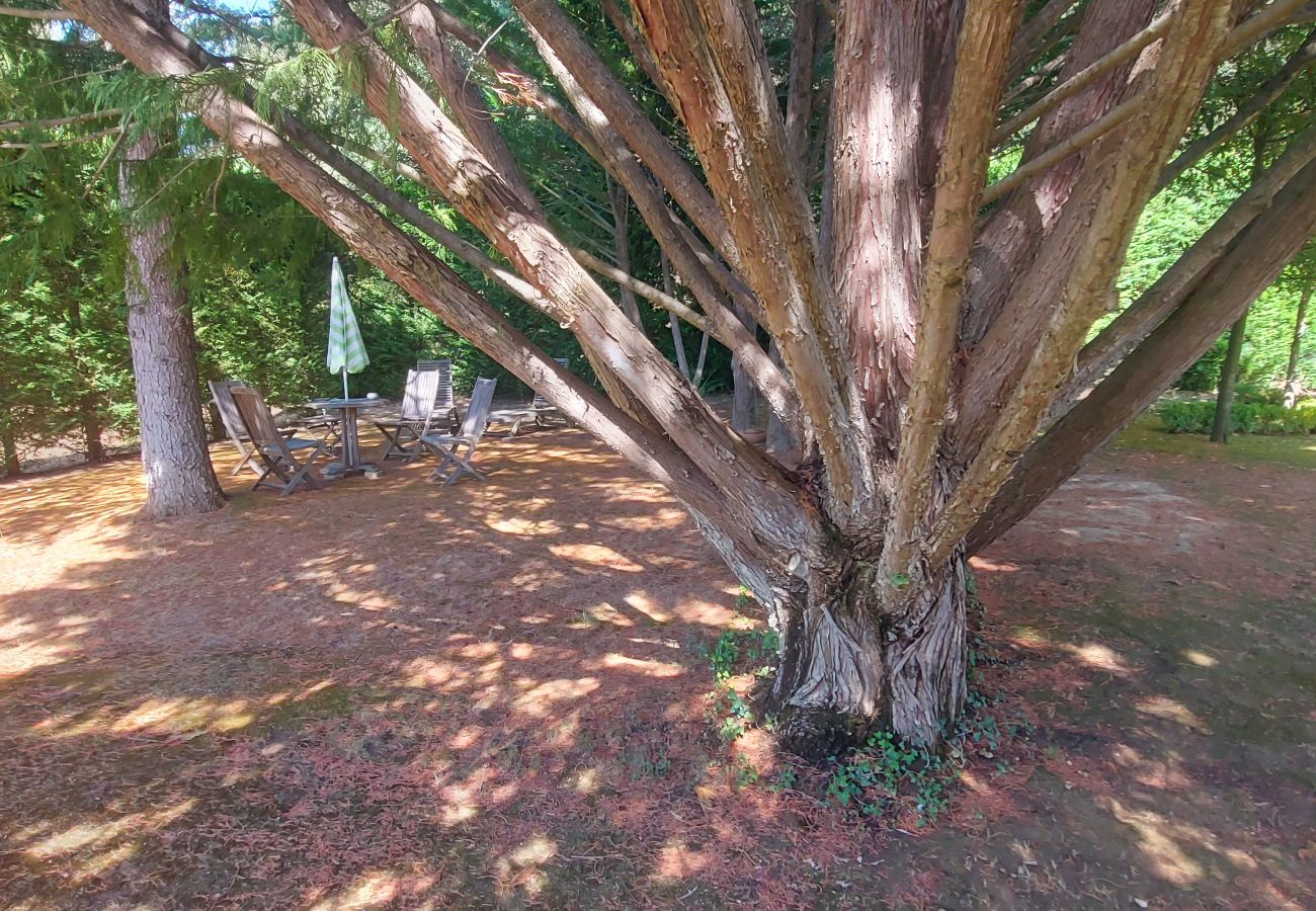 Villa in Rognes - VILLA TESSA 14 personnes - ROGNES PROCHE AIX EN PR