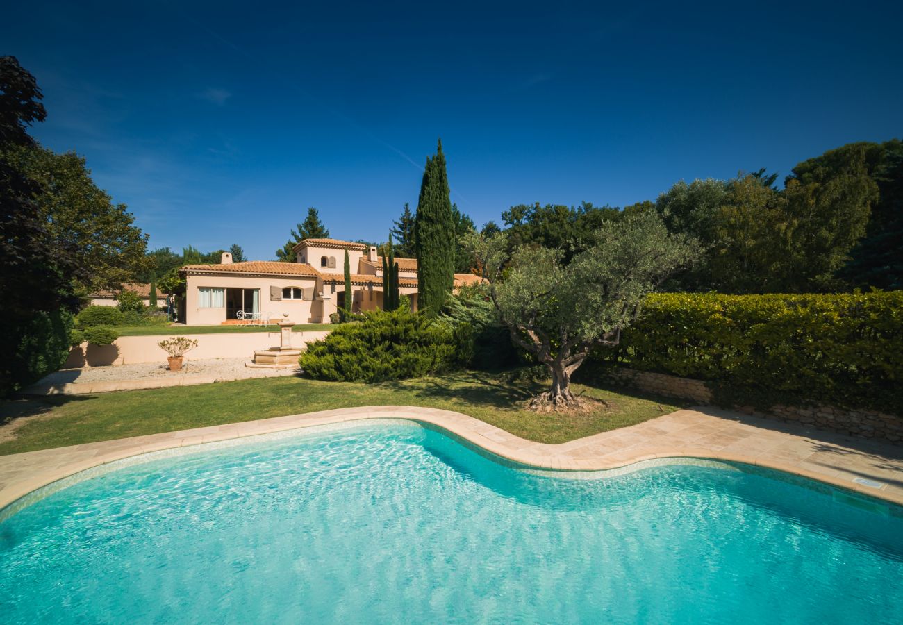 Villa in Rognes - VILLA TESSA 14 personnes - ROGNES PROCHE AIX EN PR