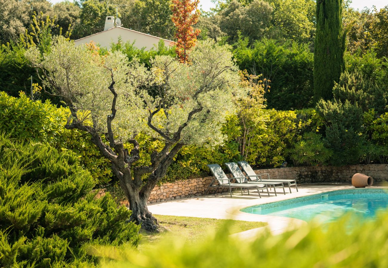 Villa in Rognes - VILLA TESSA 14 personnes - ROGNES PROCHE AIX EN PR